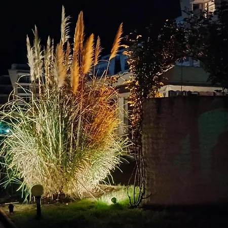 Amelia サニービーチ