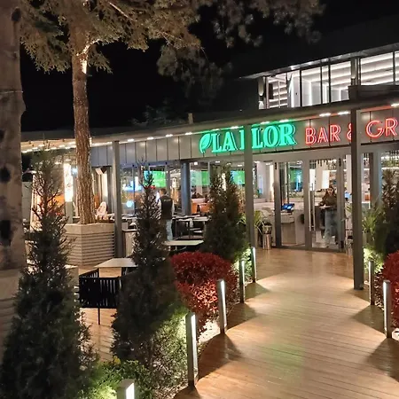 Amelia アパート サニービーチ